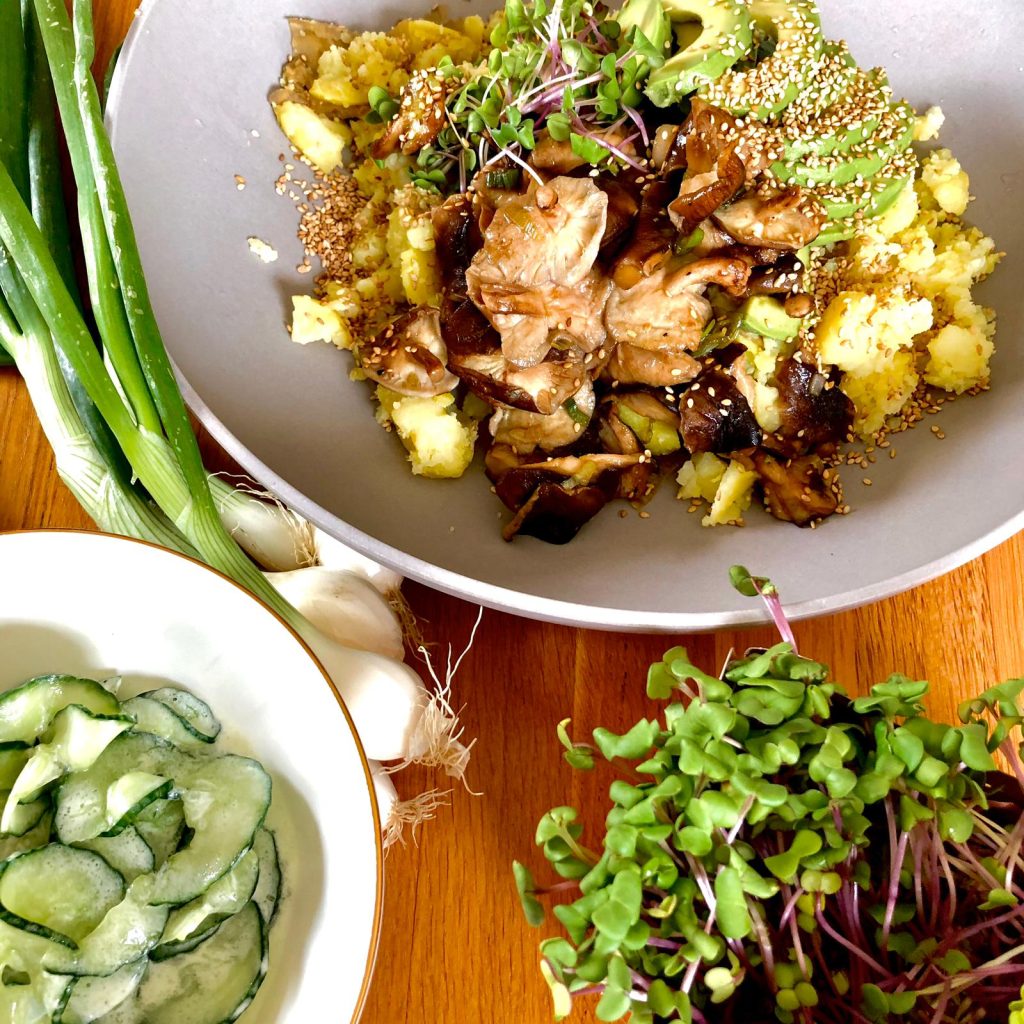 produktbild-shiitake-bowl