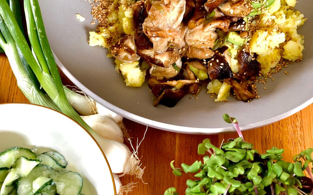 Stampfkartoffel — Bowl mit Shiitake und Gurkensalat
